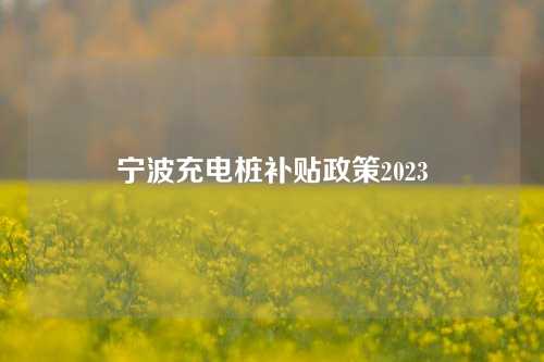 宁波充电桩补贴政策2023